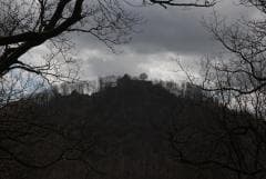 Die Löwenburg vom Lohrbergrundweg