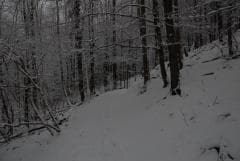 Steig bei Schnee
